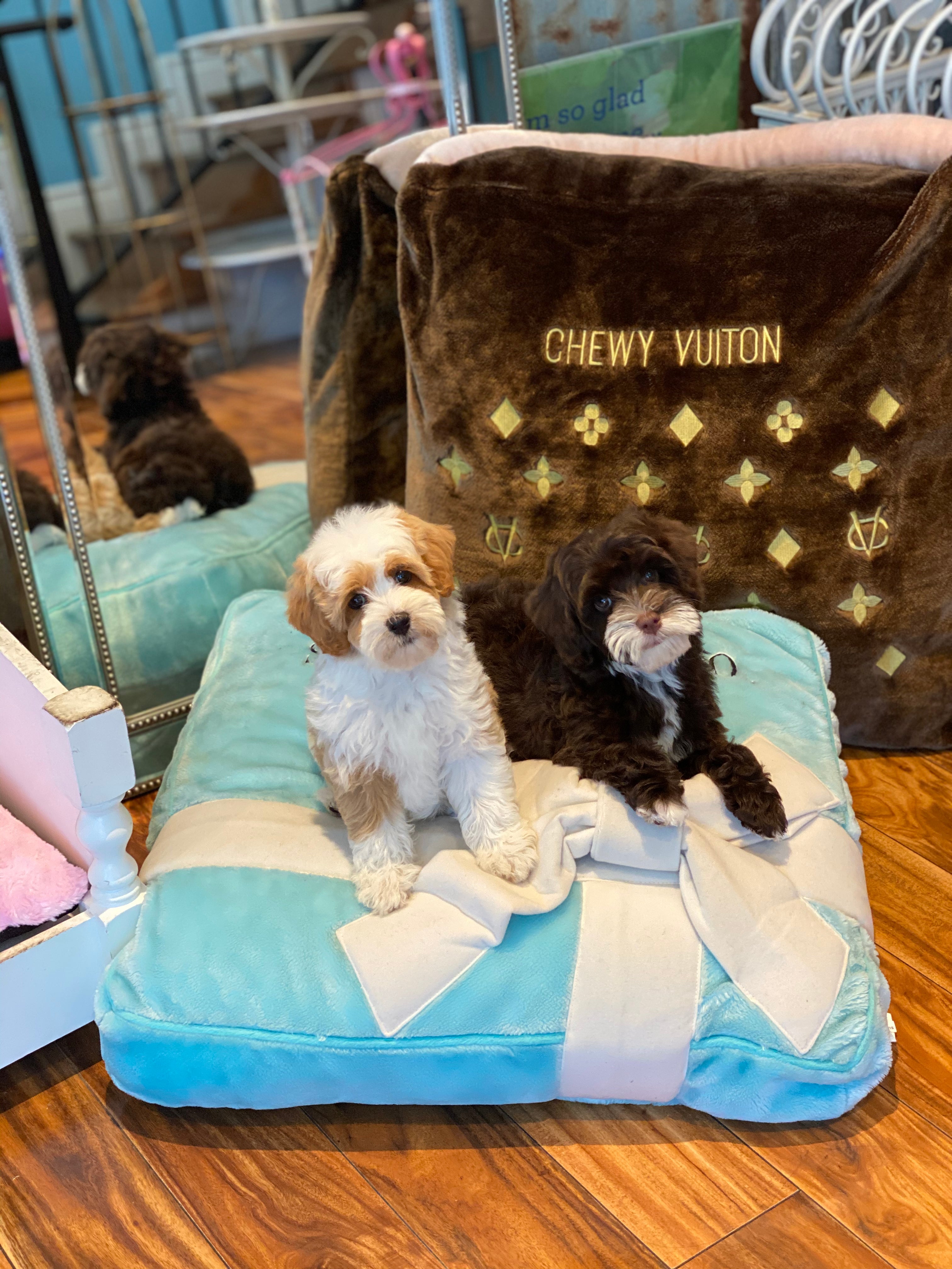 Pink Fluffy Chewy Vuitton Bed